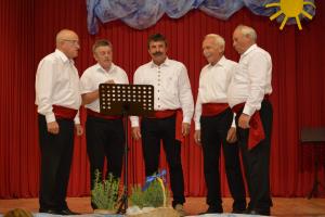 Z dalmatinskim melosom v poletni čas 1